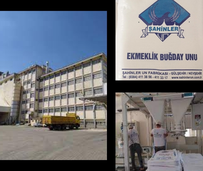 mechanic6-about-pic1